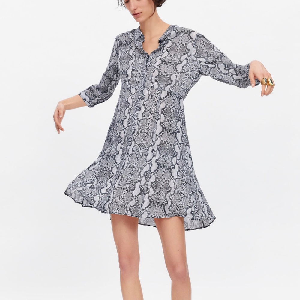 Zara Dress
